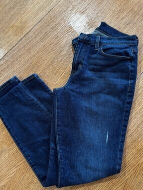 Hudson Jeans Women's Dark Indigo Skinny Jeans